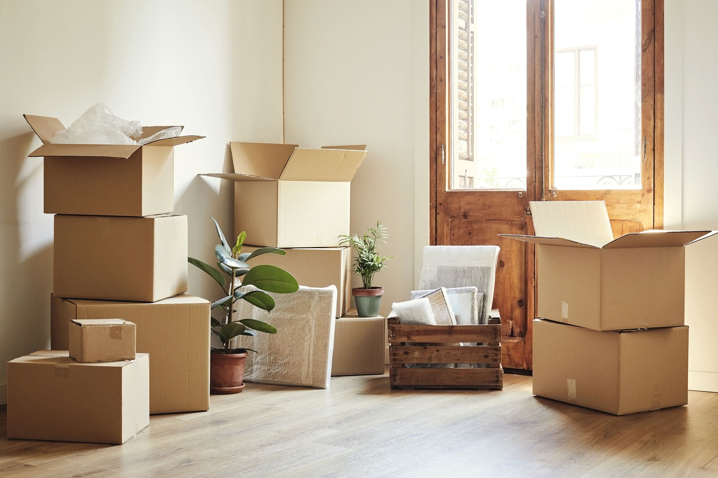 moving boxes and potted plants at new apartment