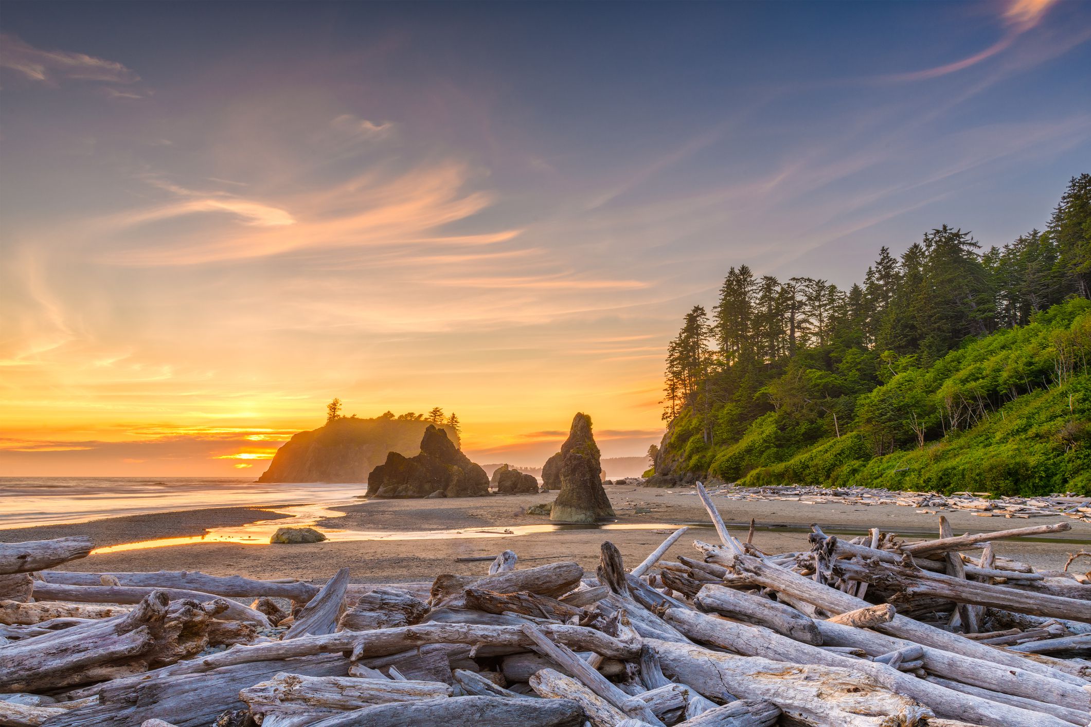 Olympic National Park, Forks, Washington