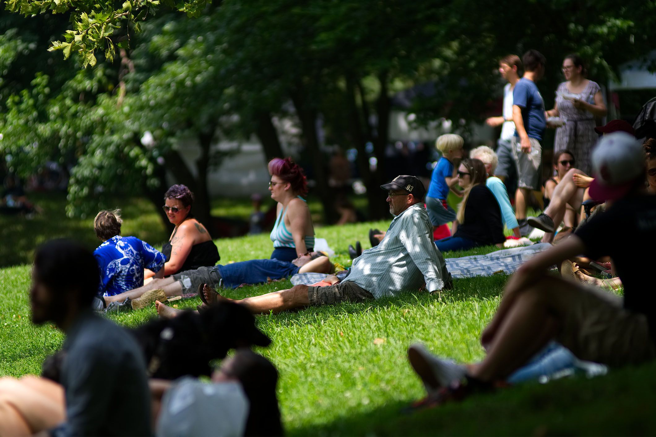 concertgoers at park