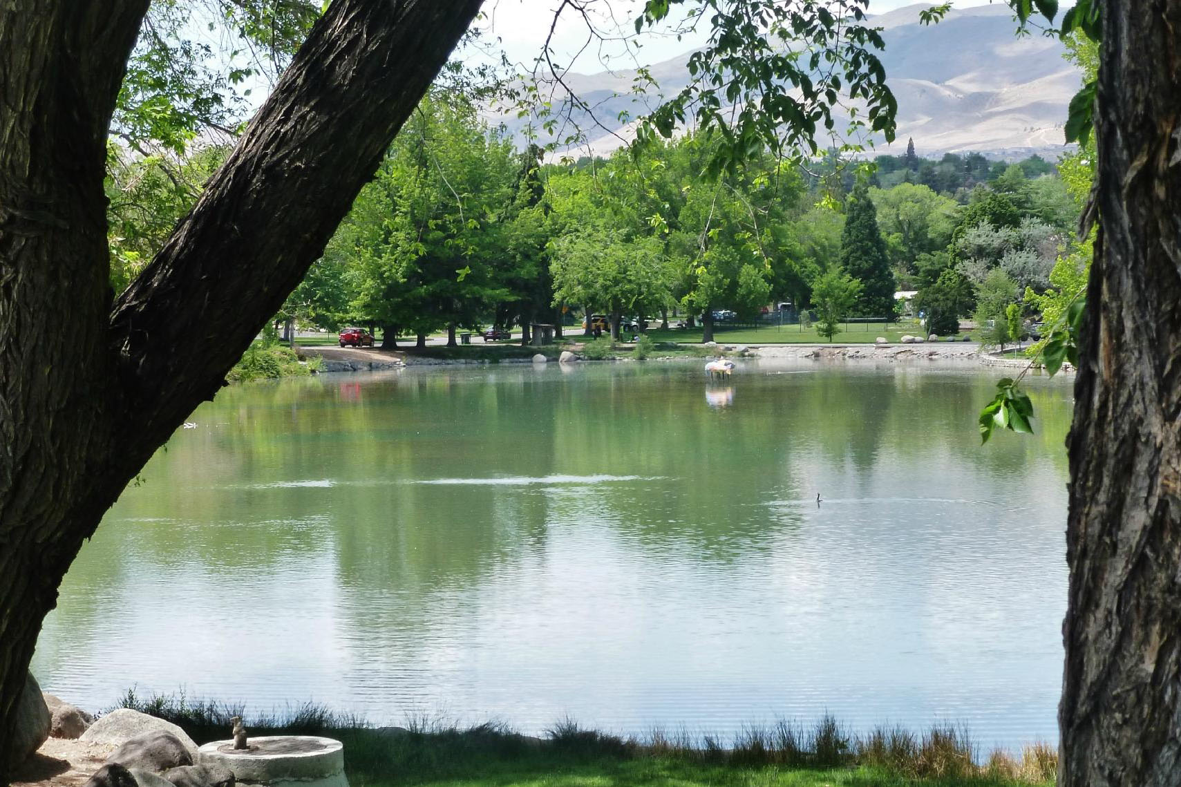 idlewild park