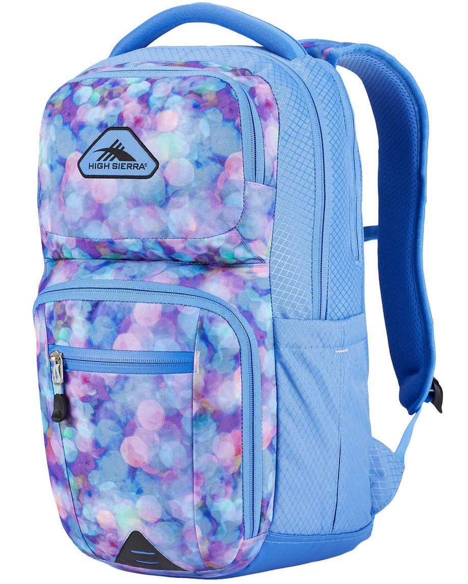 high sierra everyday backpack