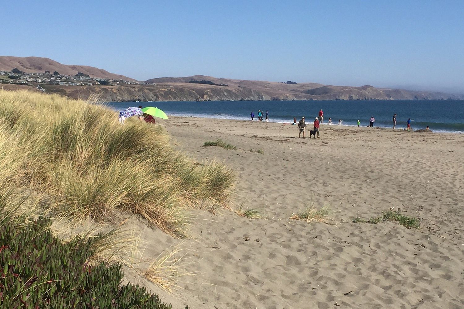 beachgoers at doran regional park, mountains in background