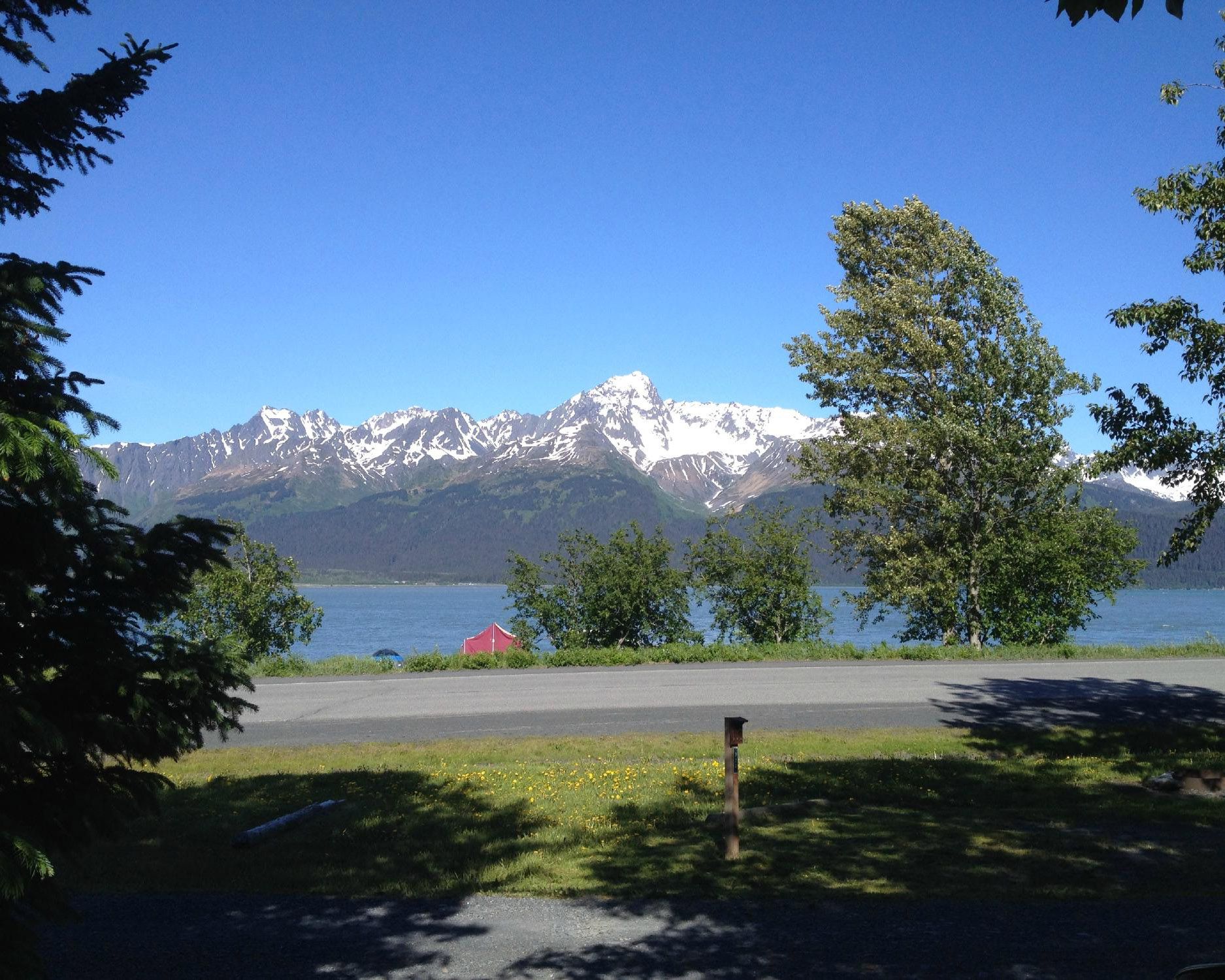 view from campsite at stewart waterfront rv park