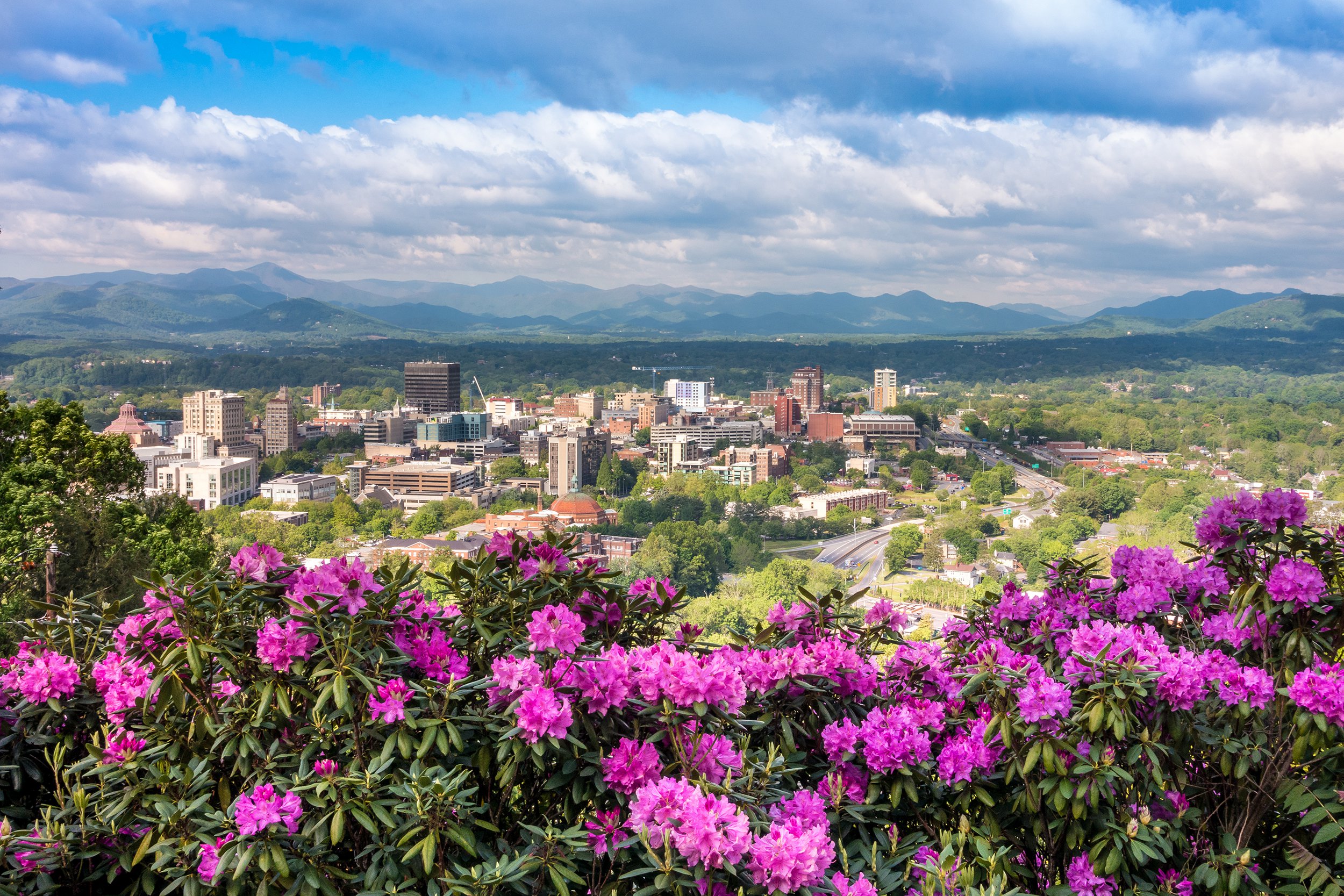 downtown Asheville skyline flowers in spring