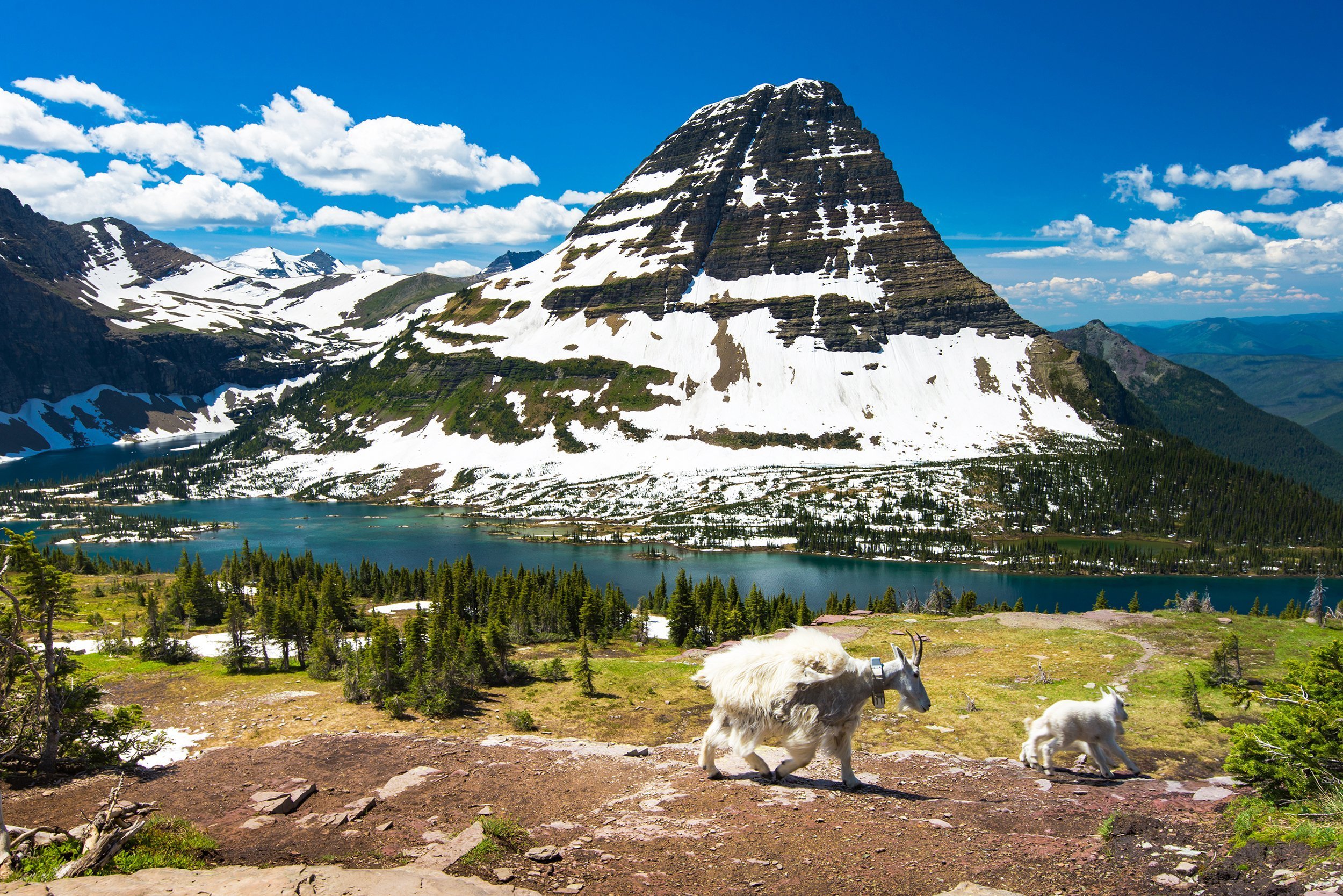 Glacier National Park, Montana