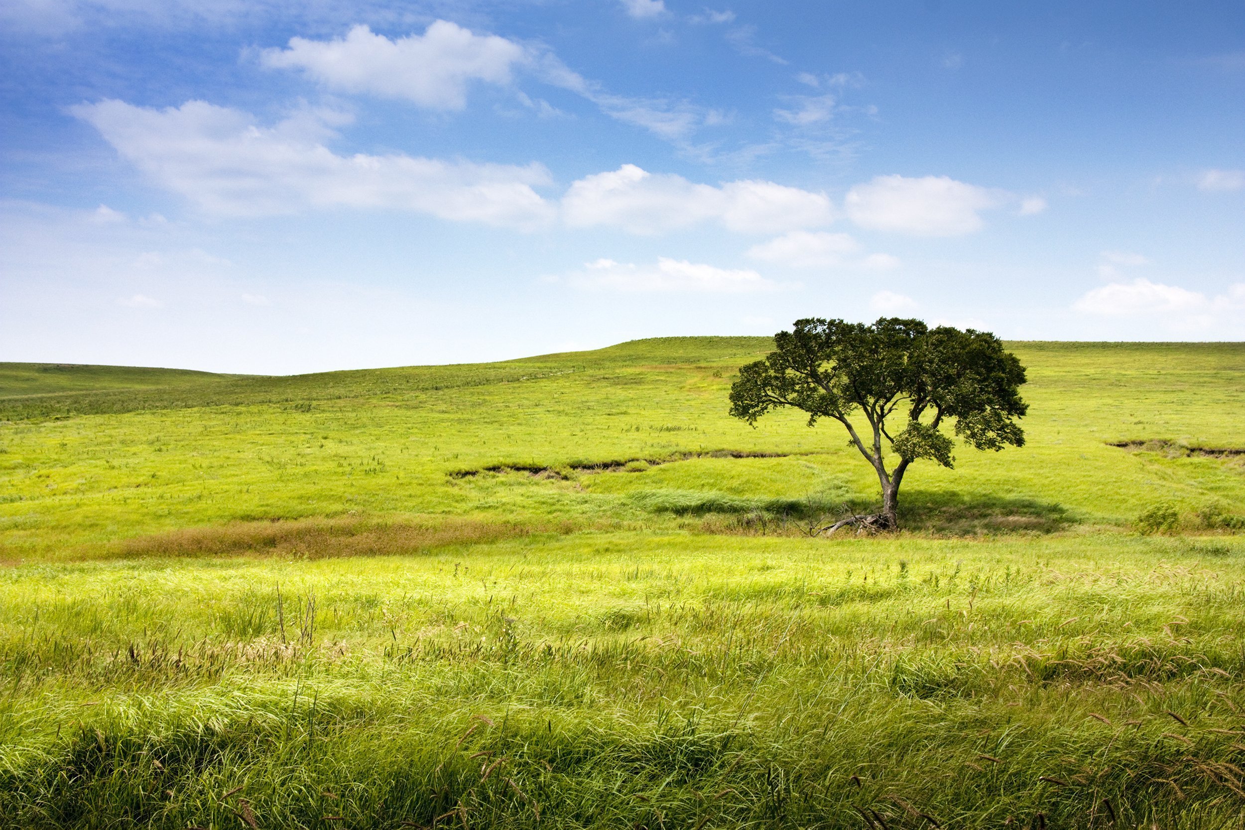 Tallgrass Prairie National Preserve, Oklahoma