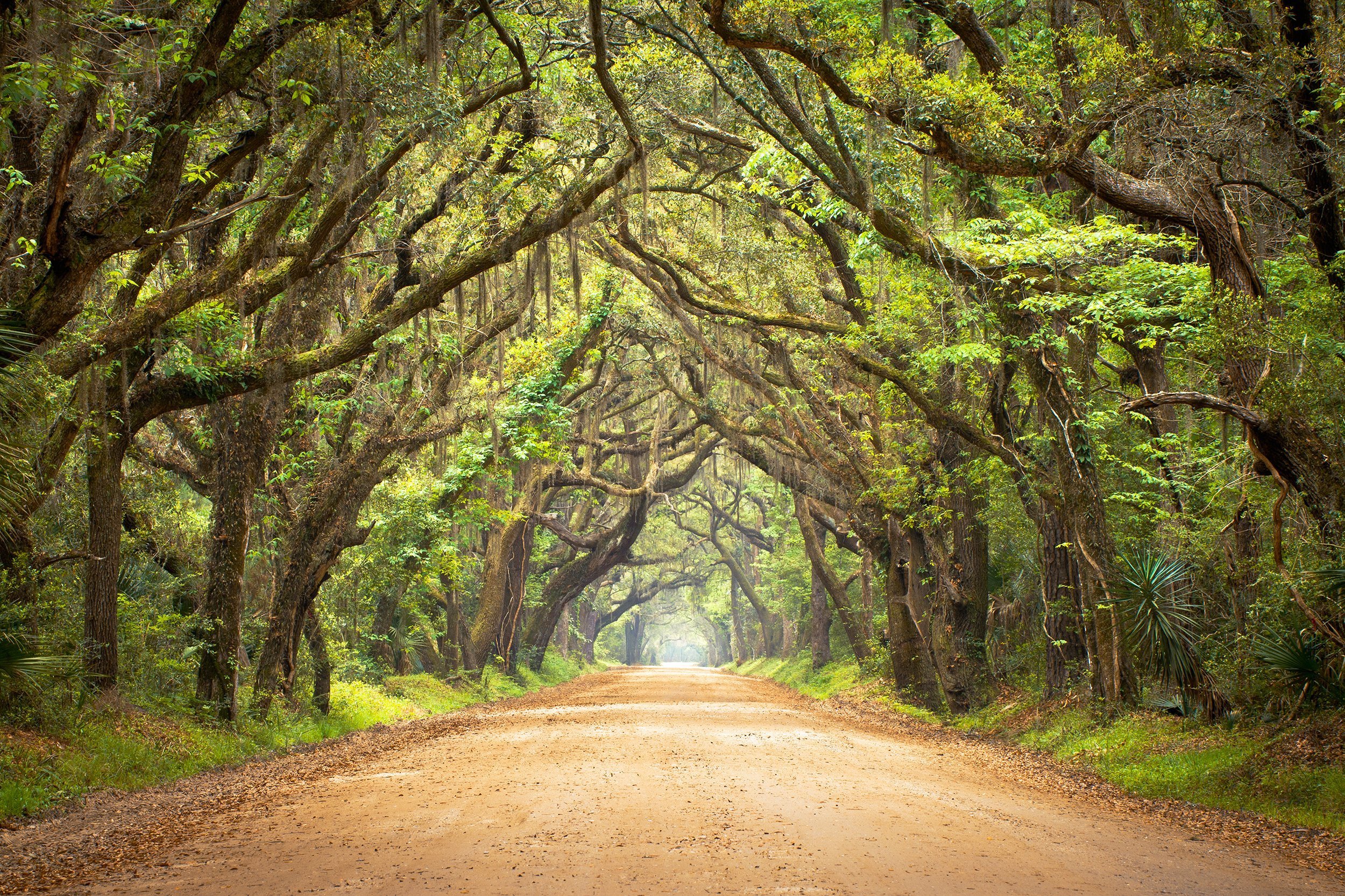Botany Bay Plantation South Carolina