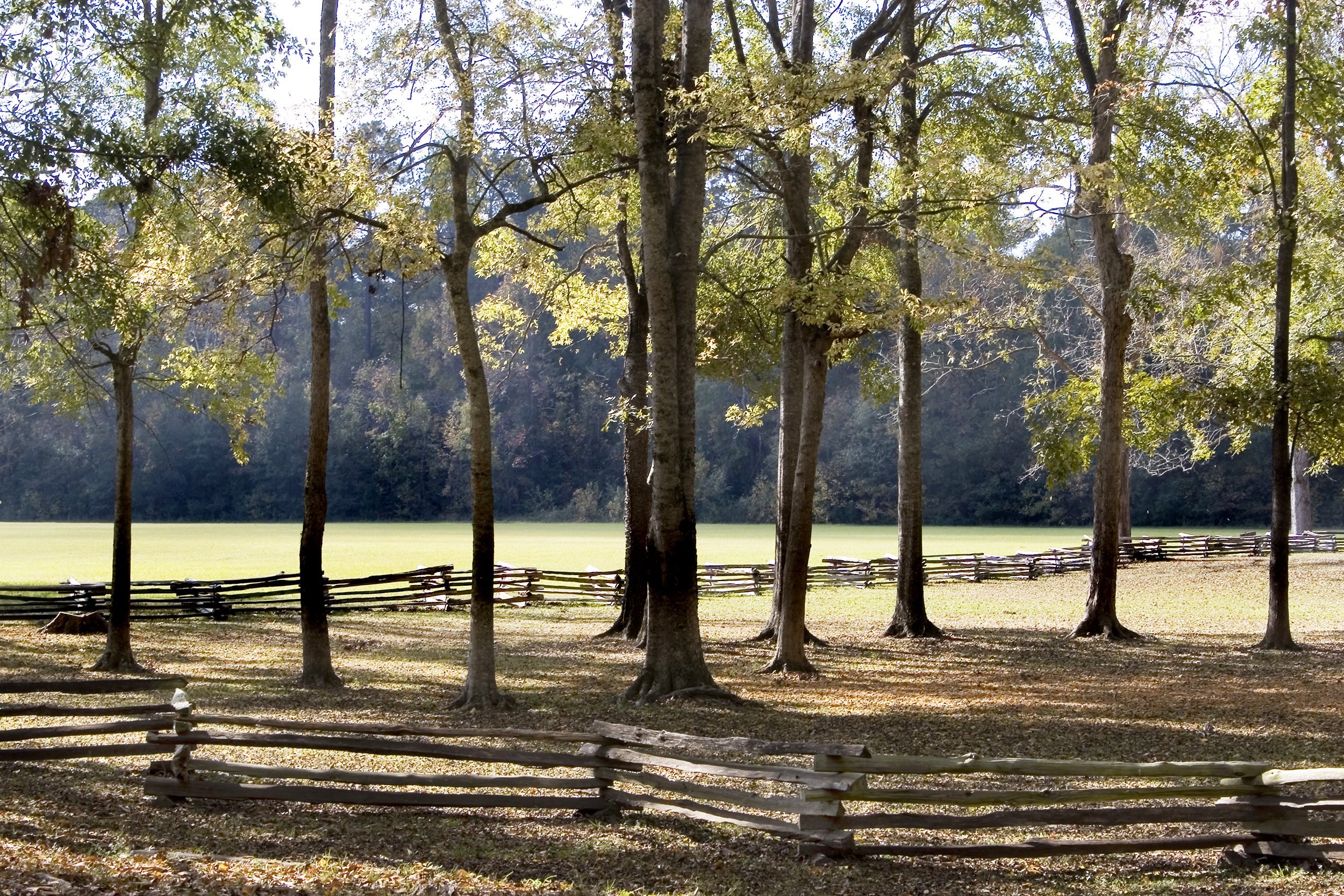 Natchez Trace National Scenic Trail, Tupelo, Mississippi