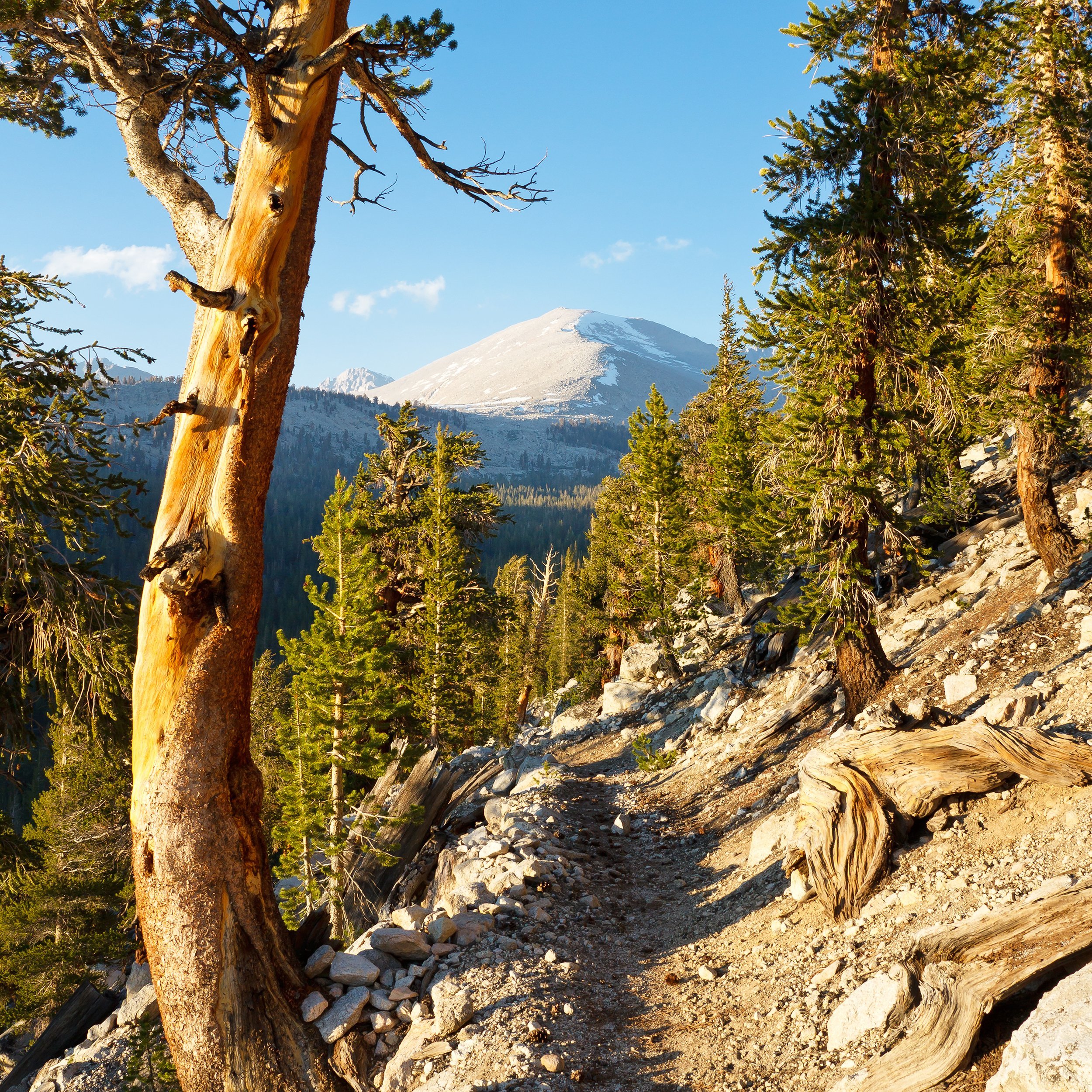 Pacific Crest Trail, California