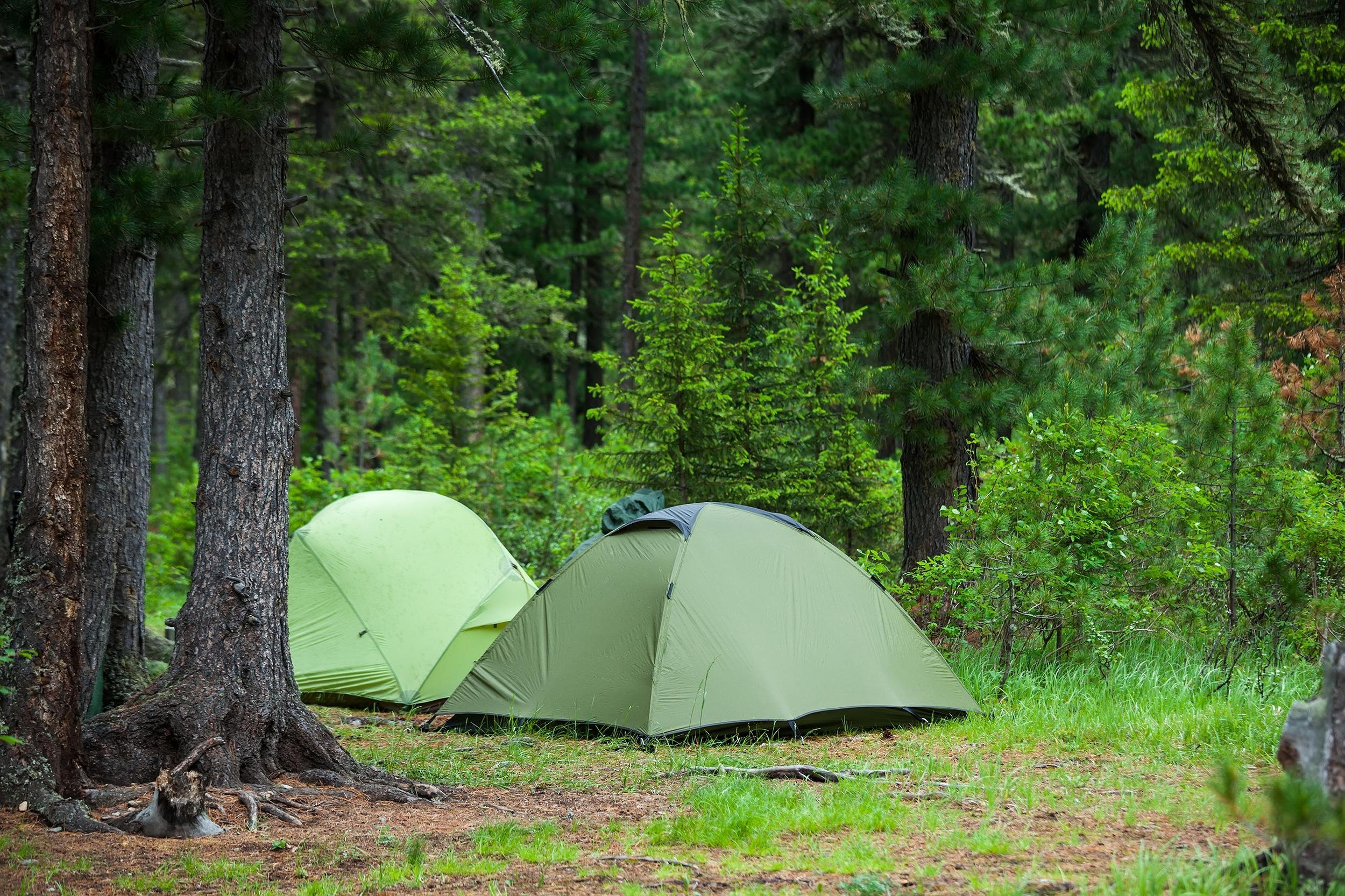 two green tents at campsite