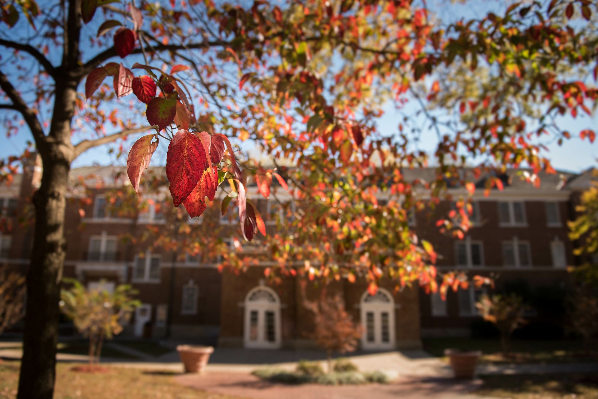 University of Central Arkansas