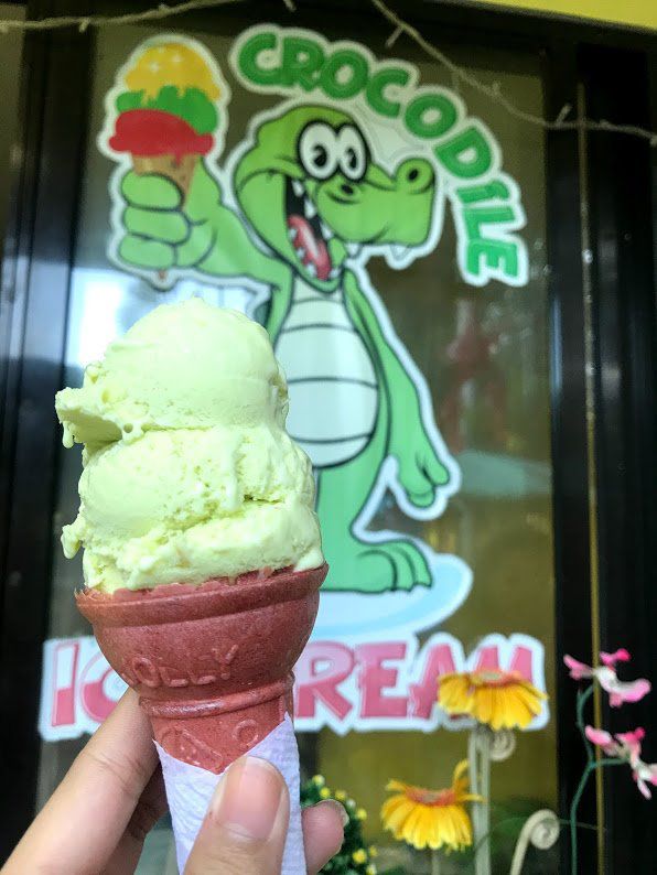 Crocodile Ice Cream