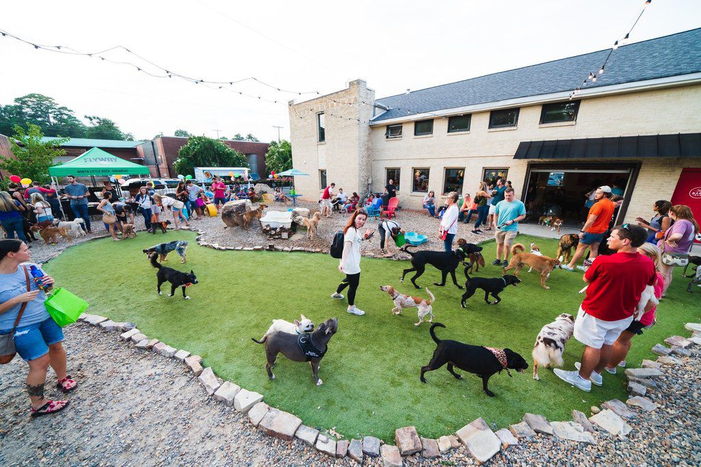 Lots of owners and their dogs enjoying Bark Bar, Little Rock, Arkansas