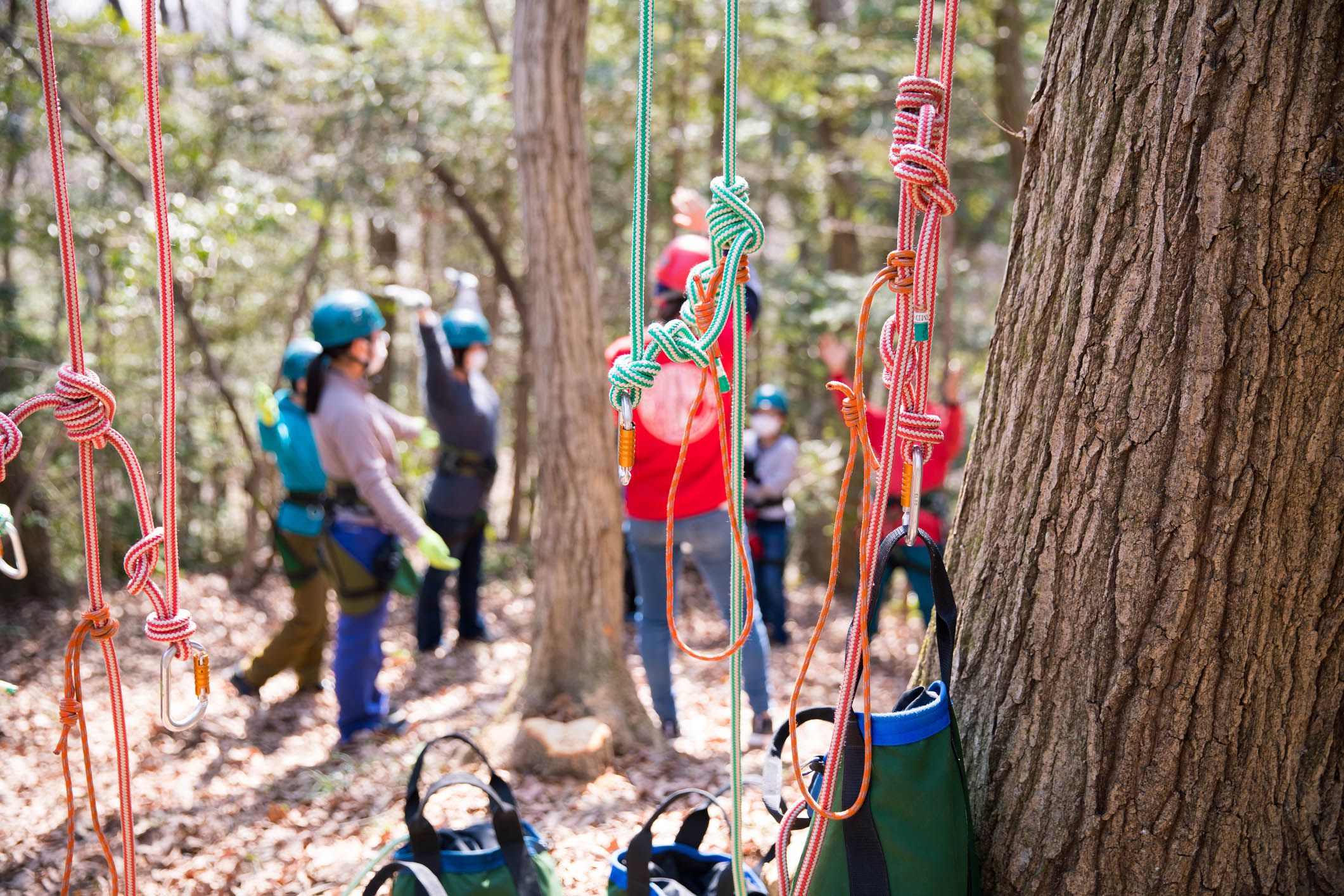 group of people with equipment preparing to climb trees
