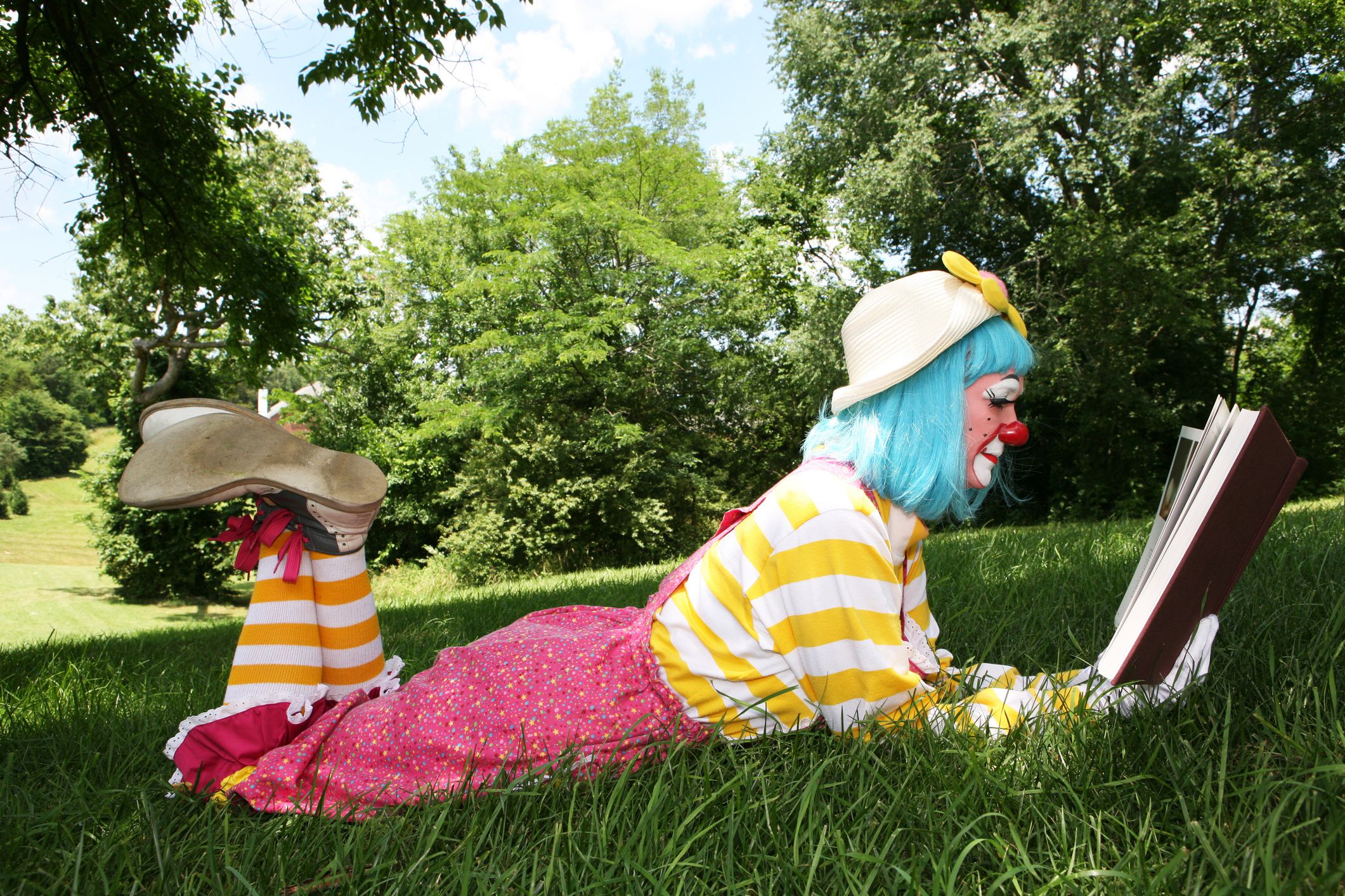 clown reading a book in the grass