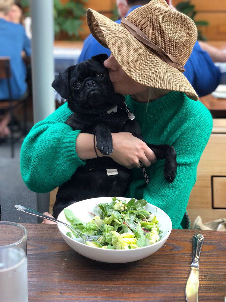 Woman hugging her black pug dog while eating salad at Ashland Hill, Santa Monica, California