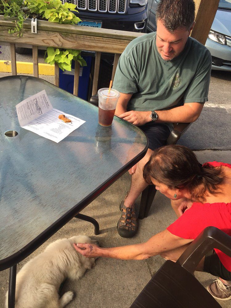 Dog getting petted on the patio at Rollover Café, Wells, Maine