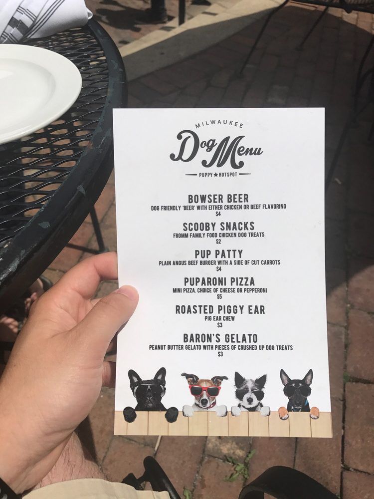 Hand holding dog menu at DiModa Pizza & Hotspot, Milwaukee