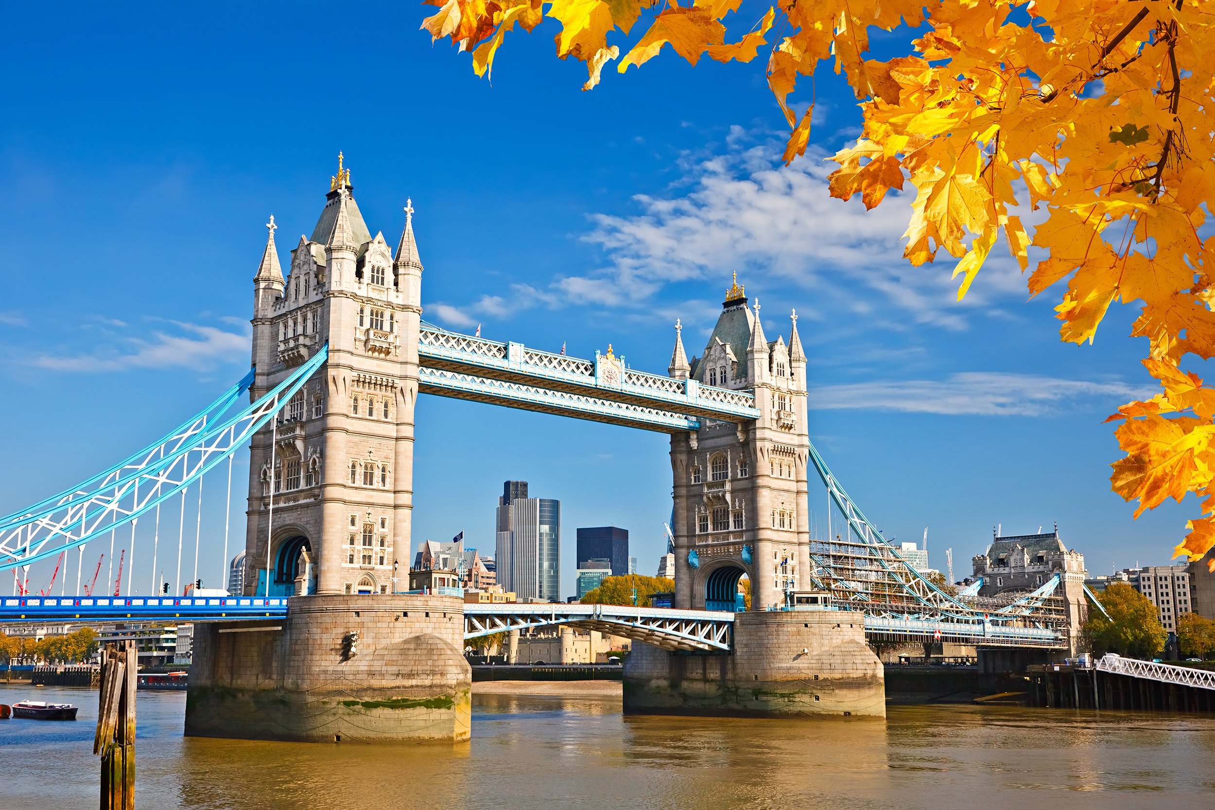 tower bridge with autumn leaves, London