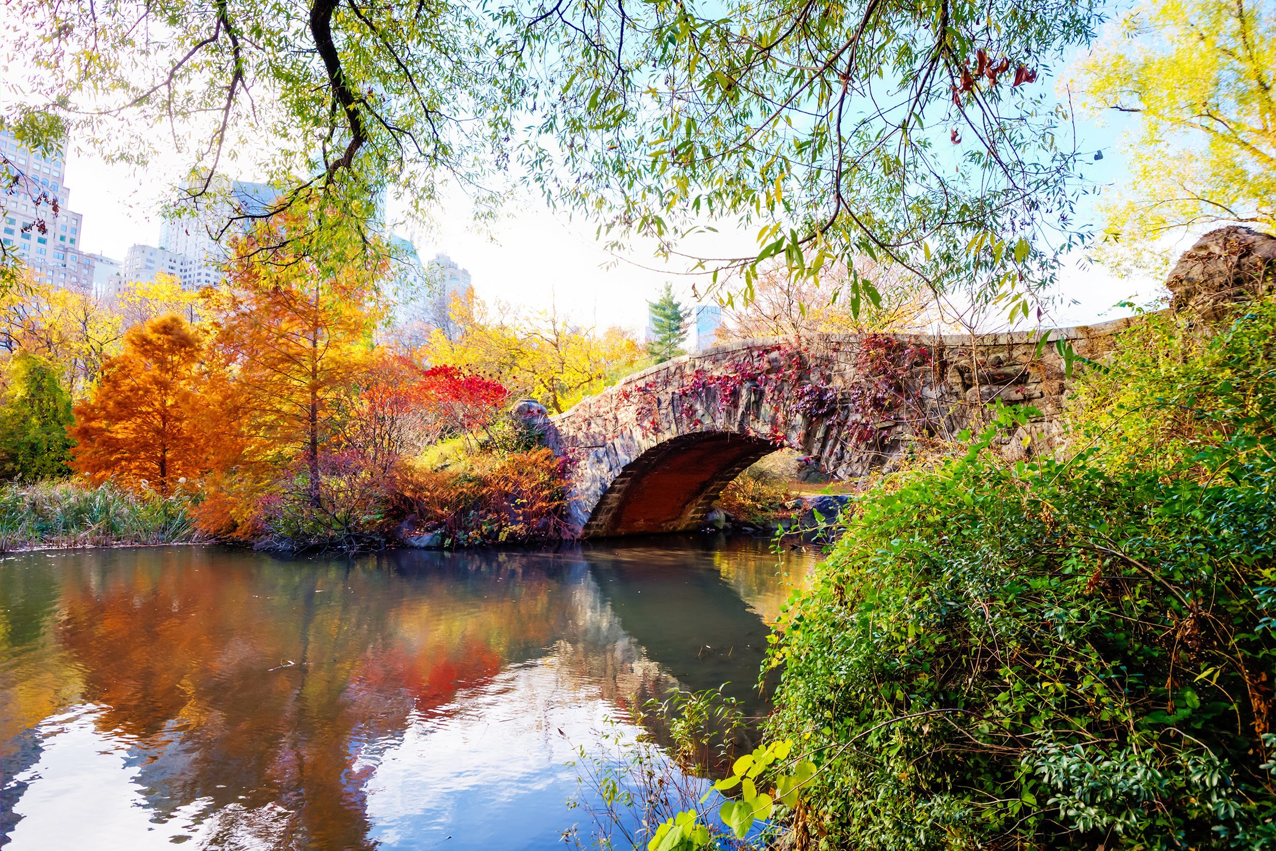 The Pond in Central Park, New York City