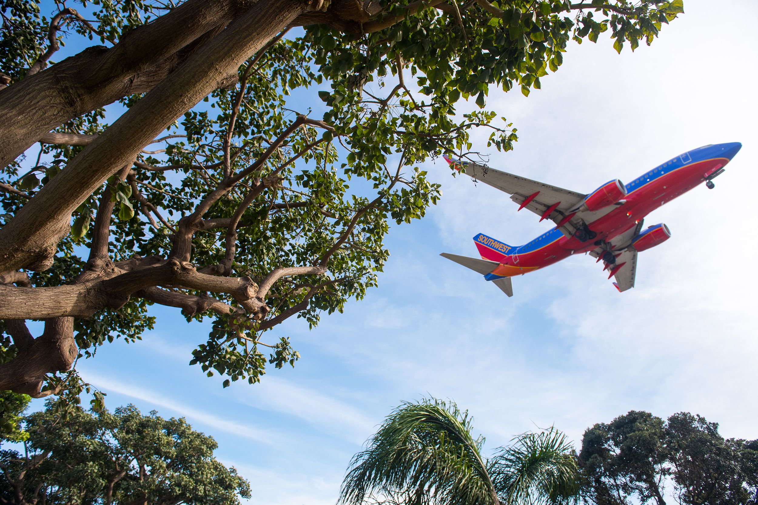 SouthWest Airlines plane in the air, view through the trees