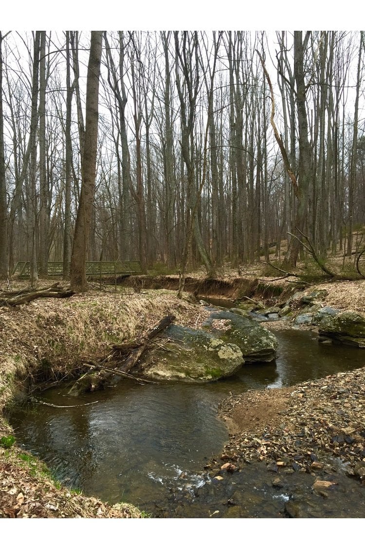 Seneca Creek State Park