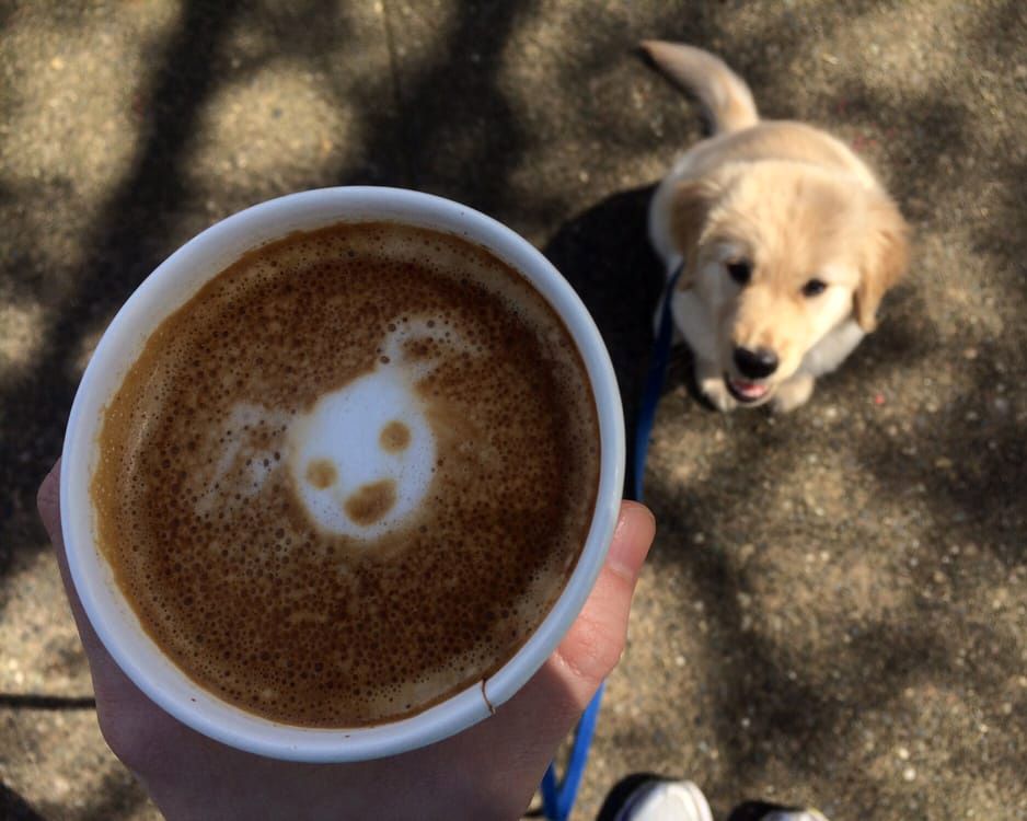 Hand holding Bark! Espresso latte and puppy dog in background