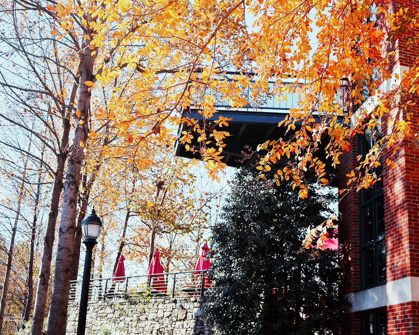 Passerelle Bistro Greenville, South Carolina