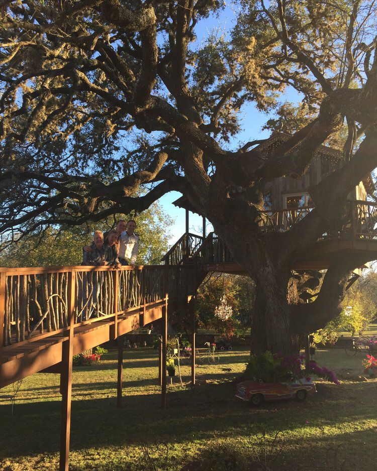 The Laurel Tree