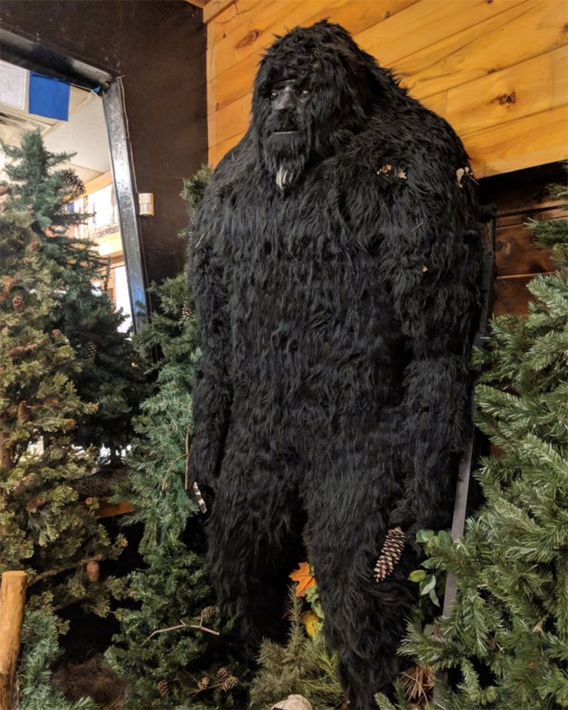 Sasquatch Museum, Cherry Log, Georgia