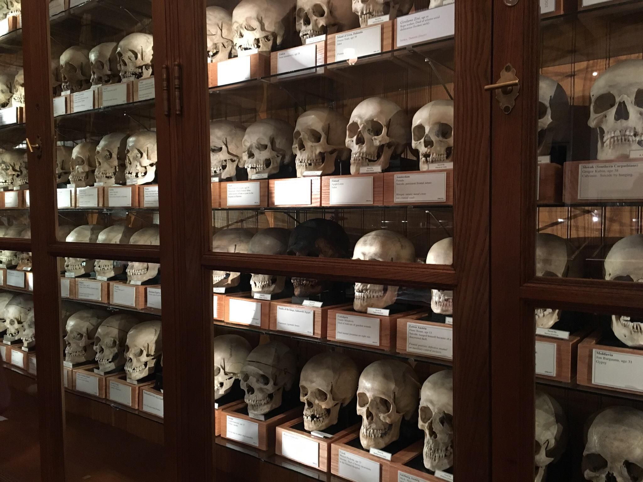 Mütter Museum, Pennsylvania