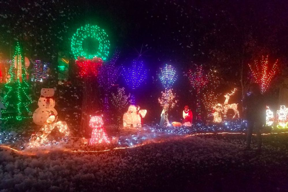 The Campsites at Disney's Fort Wilderness Resort, Lake Buena Vista, Florida