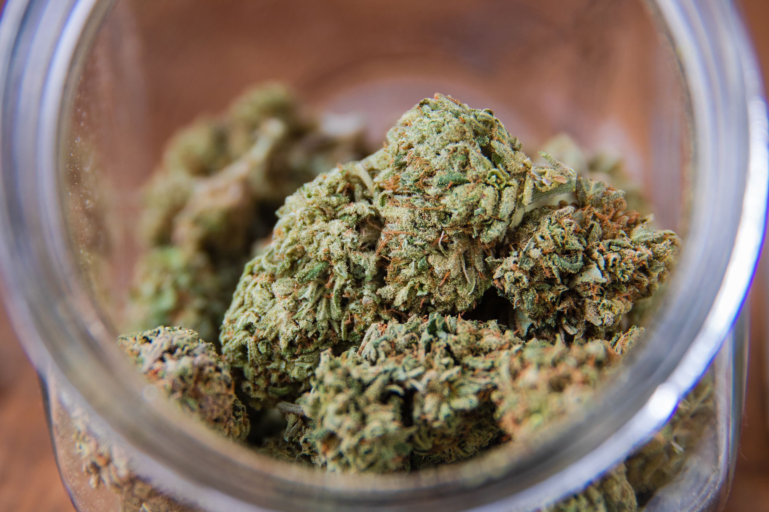 looking into open jar of marijuana buds