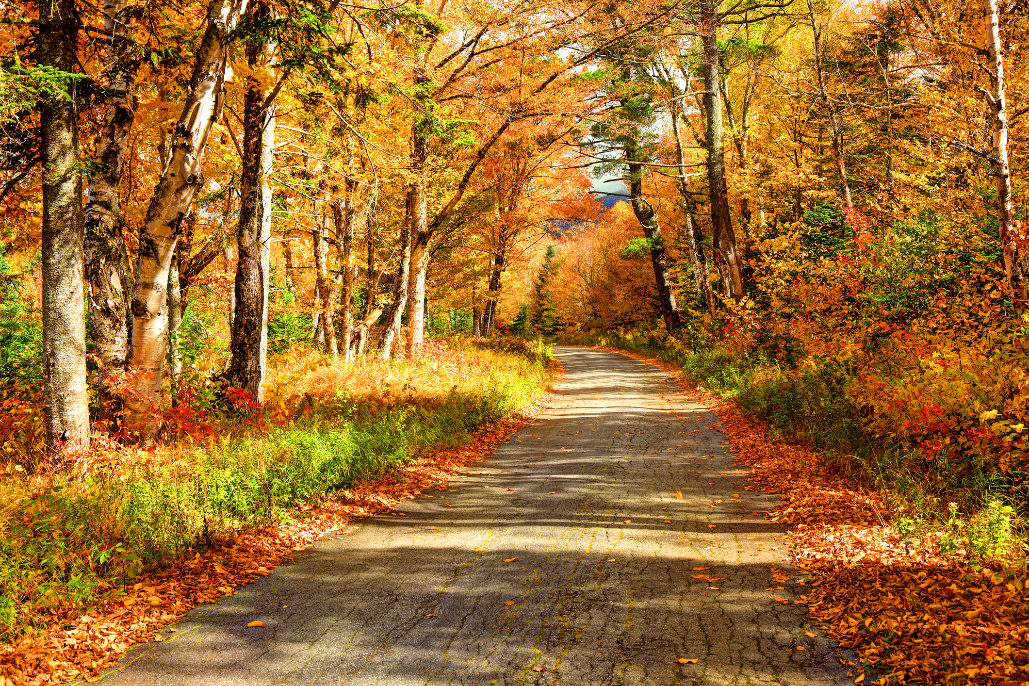cracked autumn road in the white mountains of new hampshire
