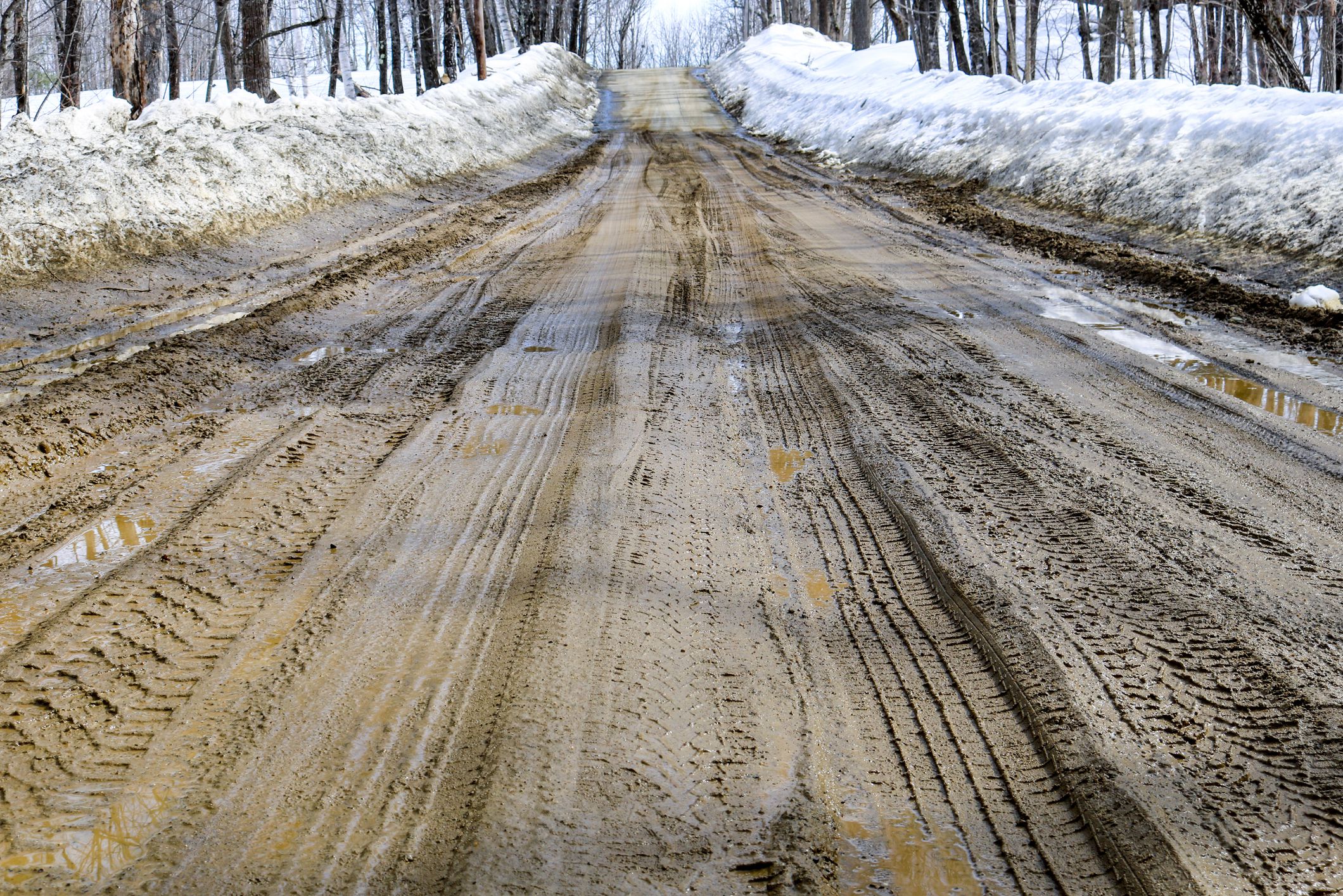 muddy maine road