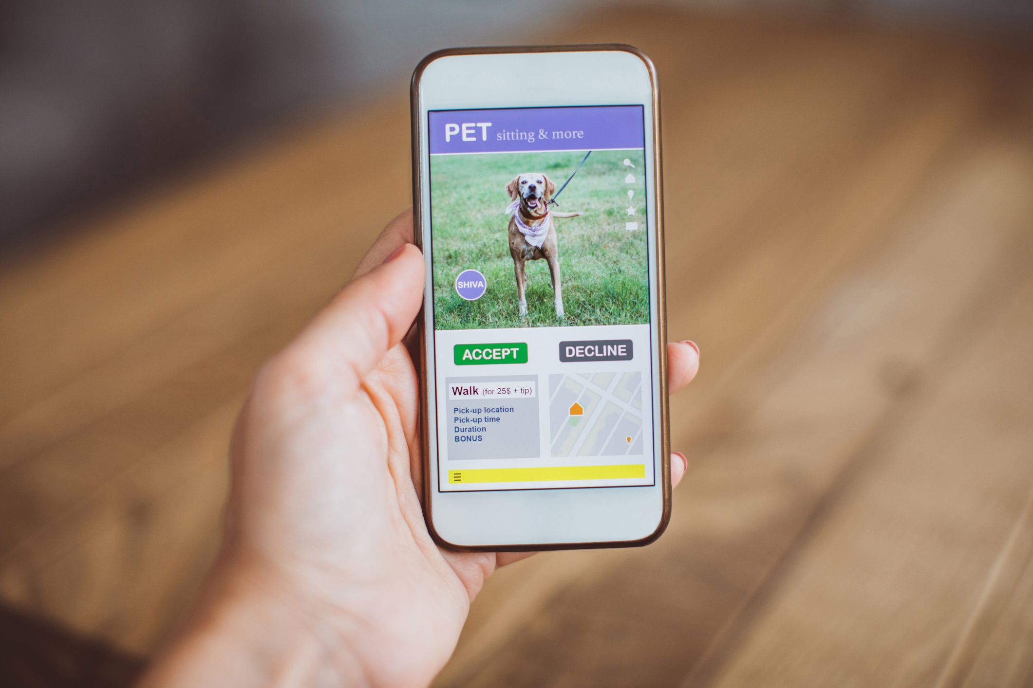 pet-sitting app open