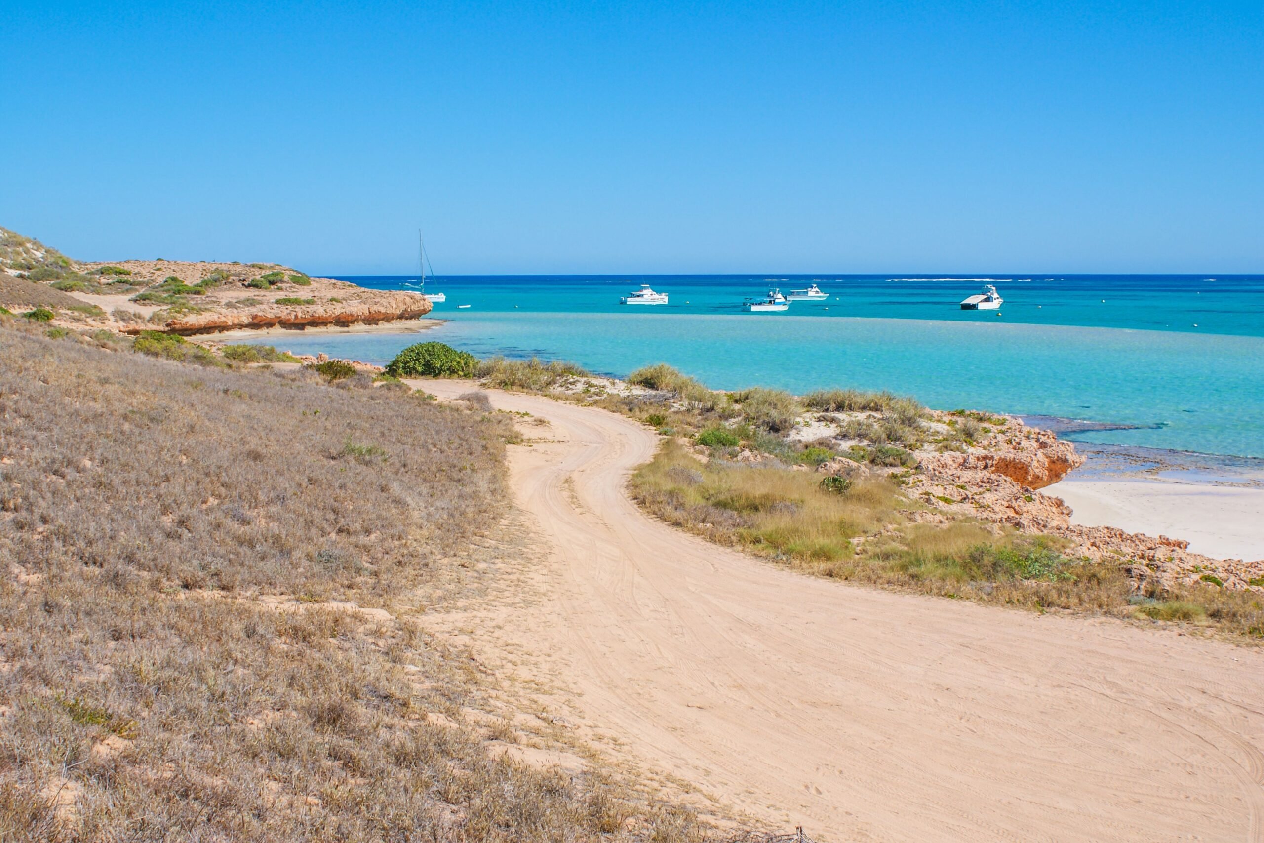 coral bay