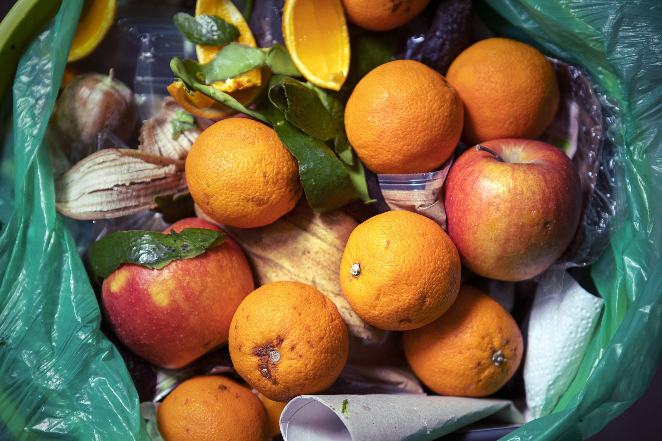 left over still edible fruits in waste bag