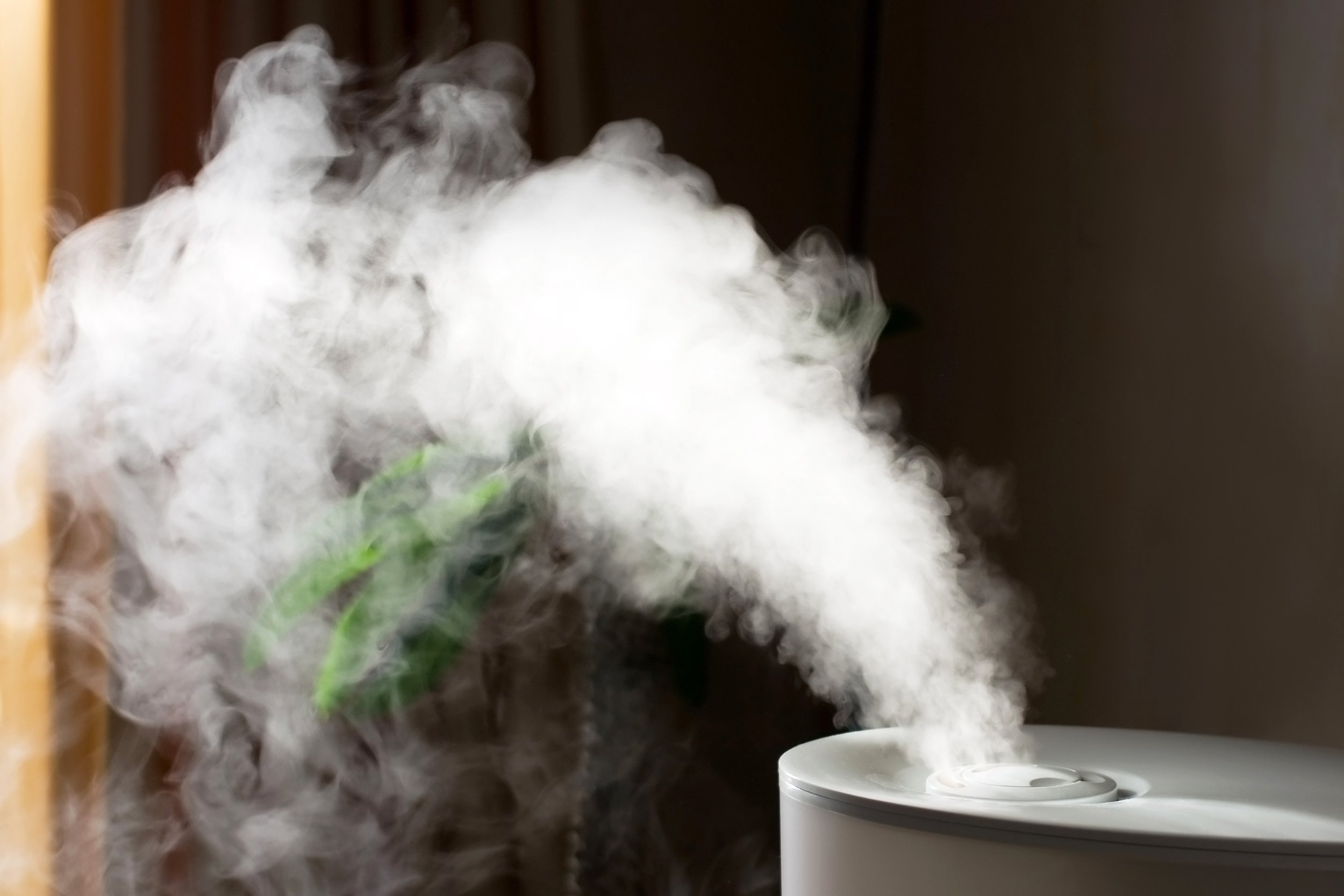 humidifier spreading steam into the living room