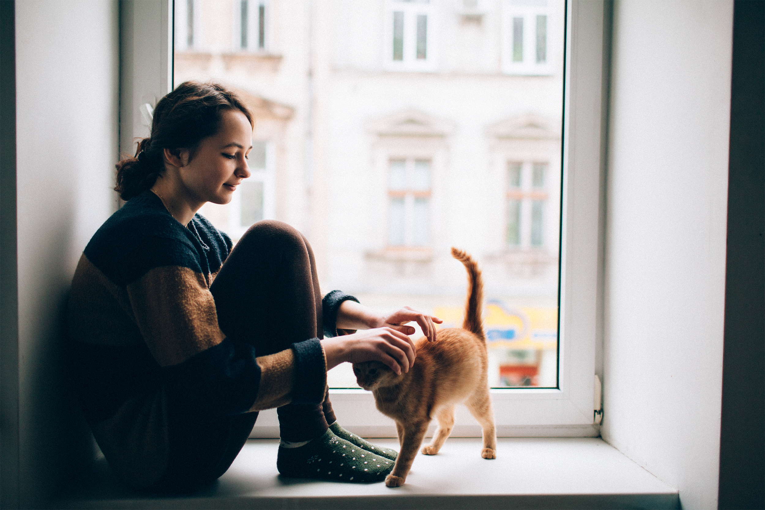 Young girl sitting on window sill with cat