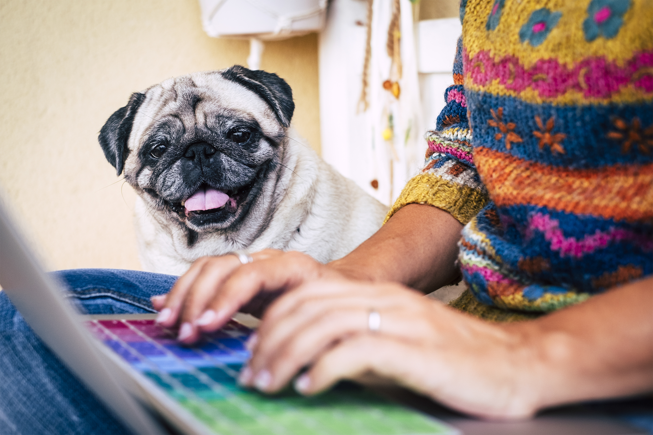 Woman typing on laptop next to dog