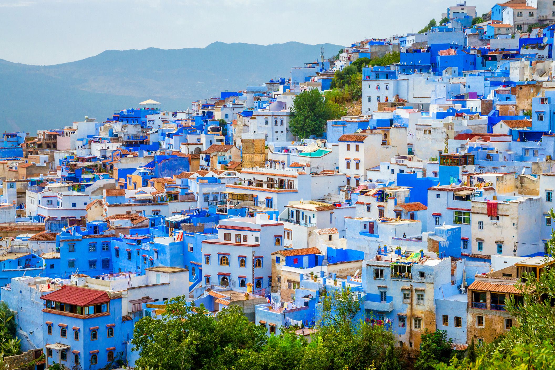 aerial view of blue medina of city chefchaouen, morocco, africa