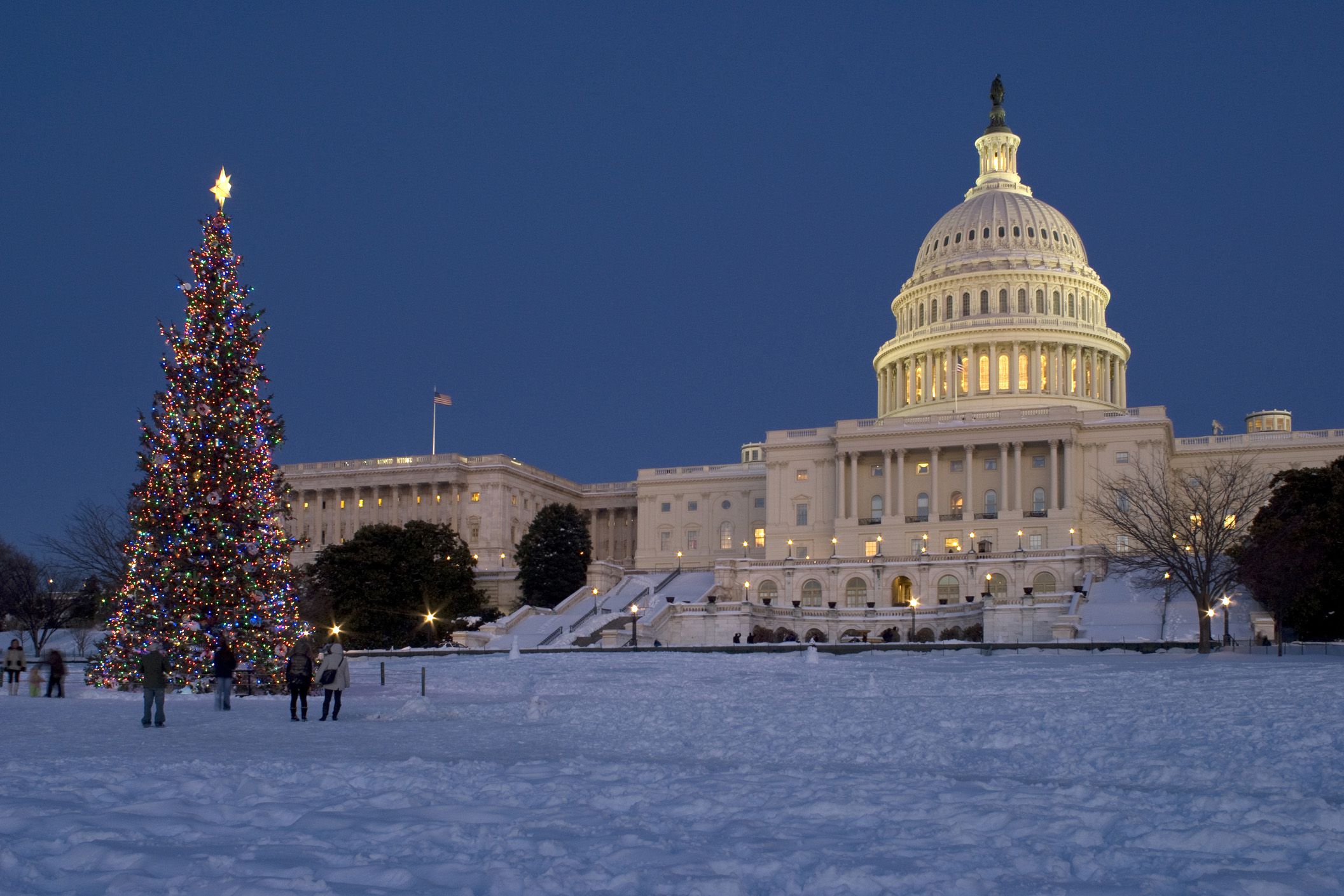 capitol building and christmas tree