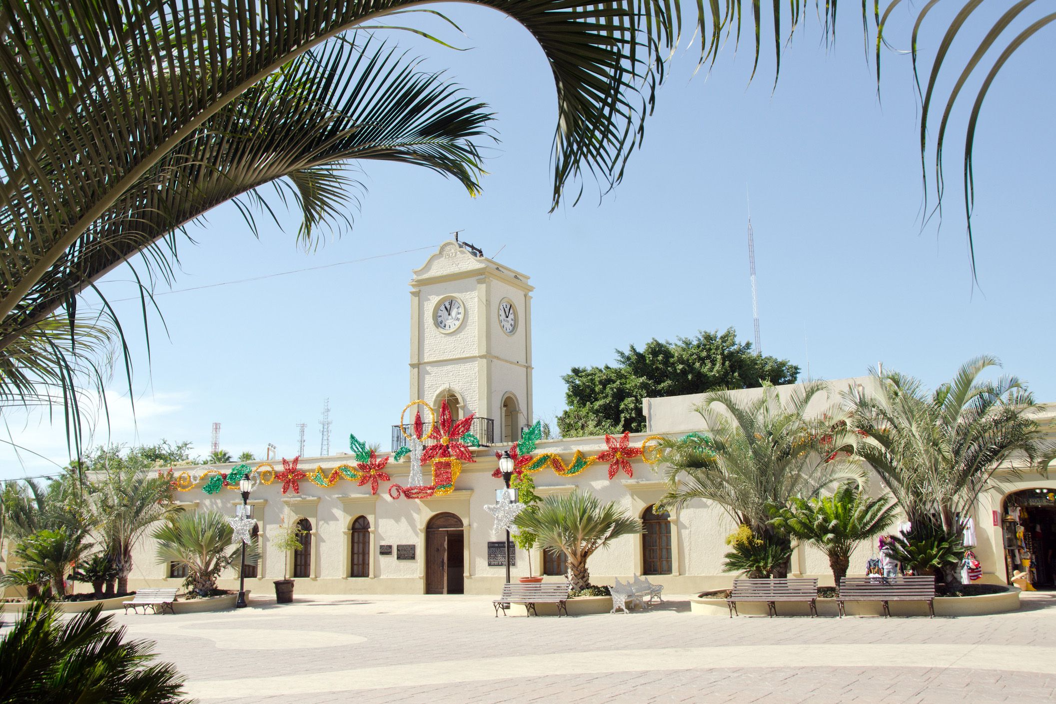 municipal building in san jose del cabo with christmas decorations