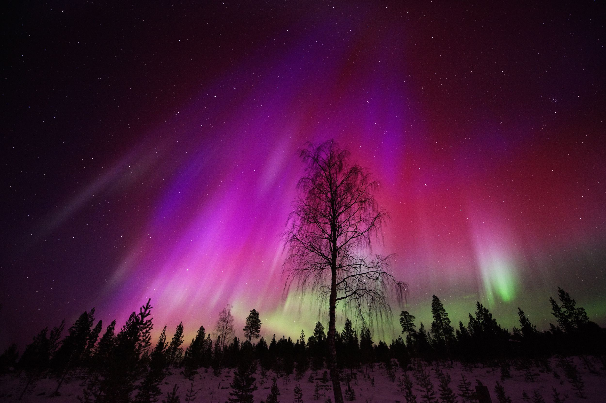aurora borealis over Finnish Lapland