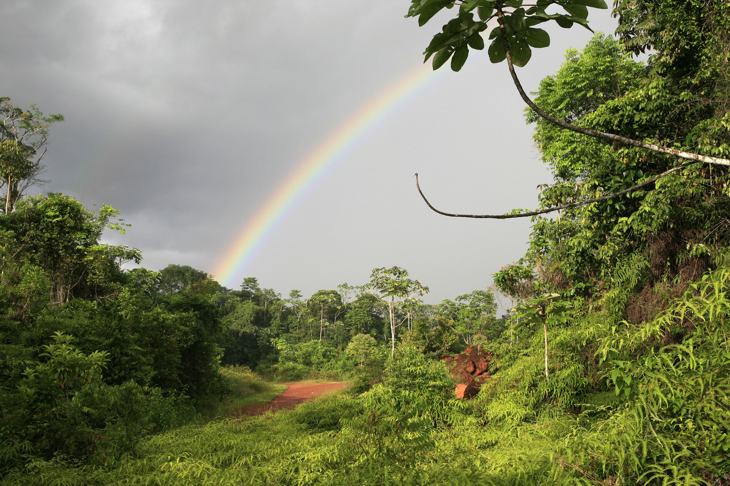 French Guiana