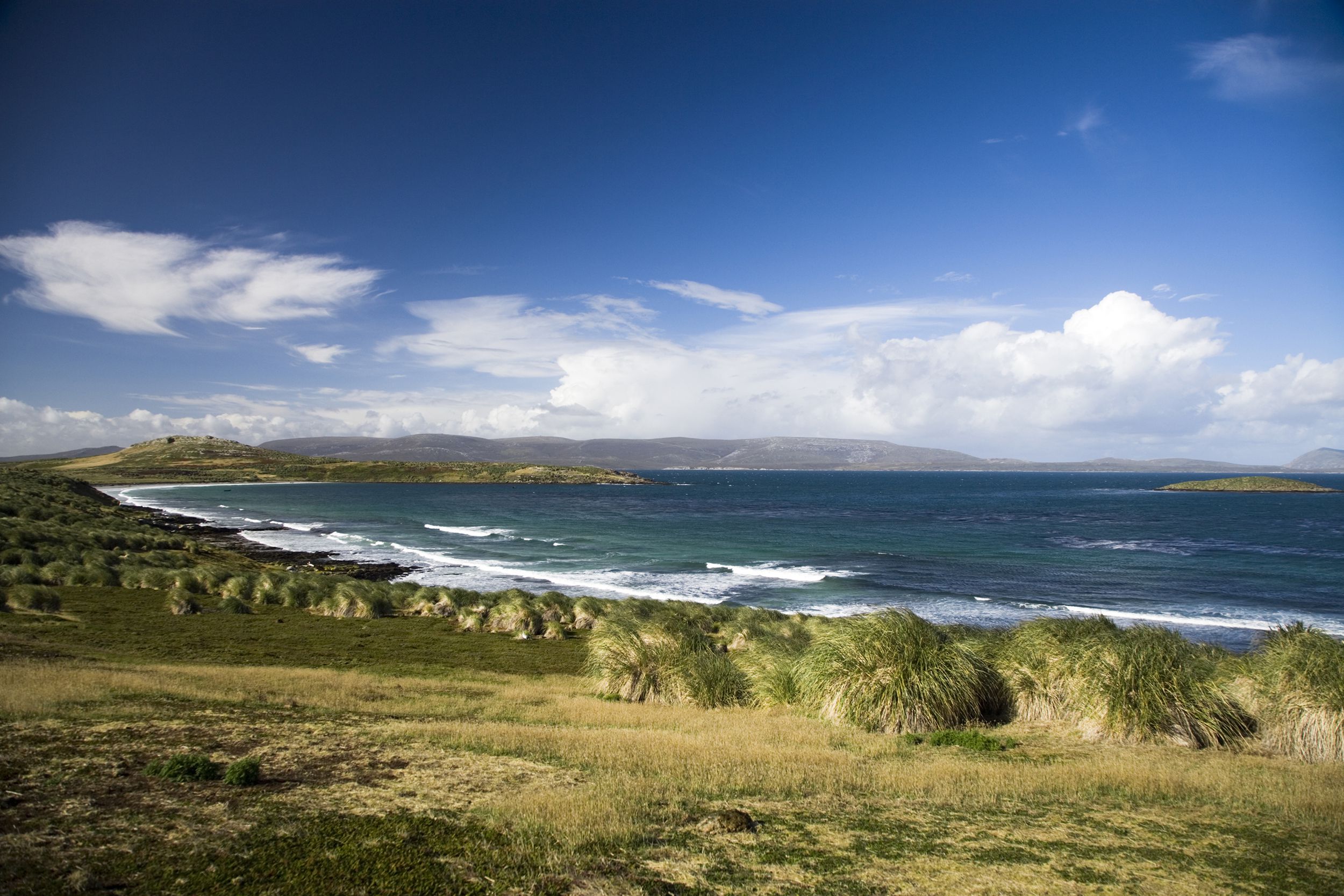 The Falkland Islands