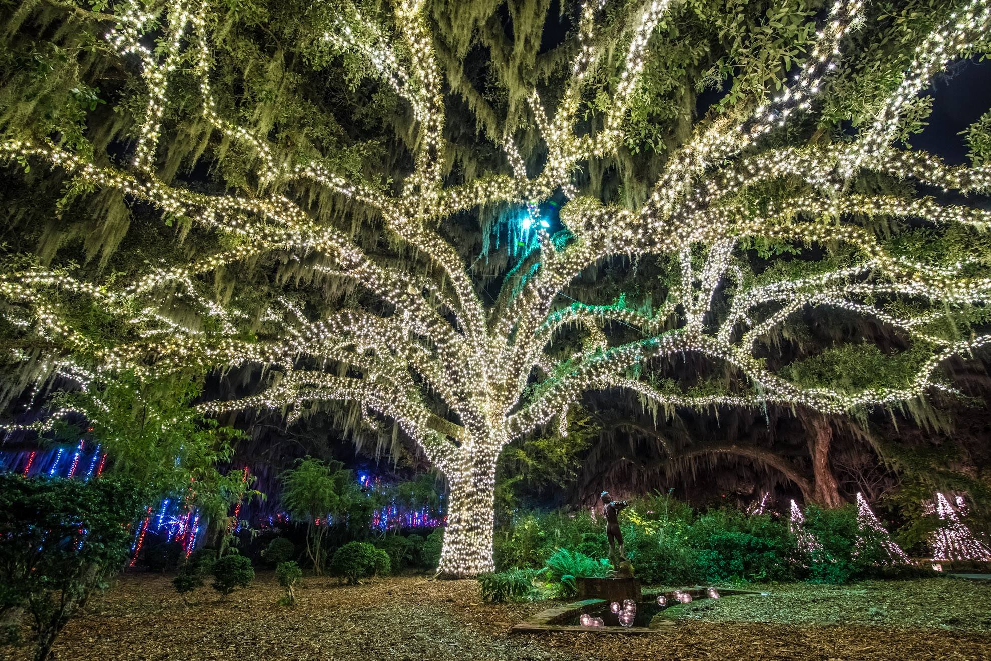 Brookfield Gardens' Night of A Thousand Candles in Murrells Inlet, SC