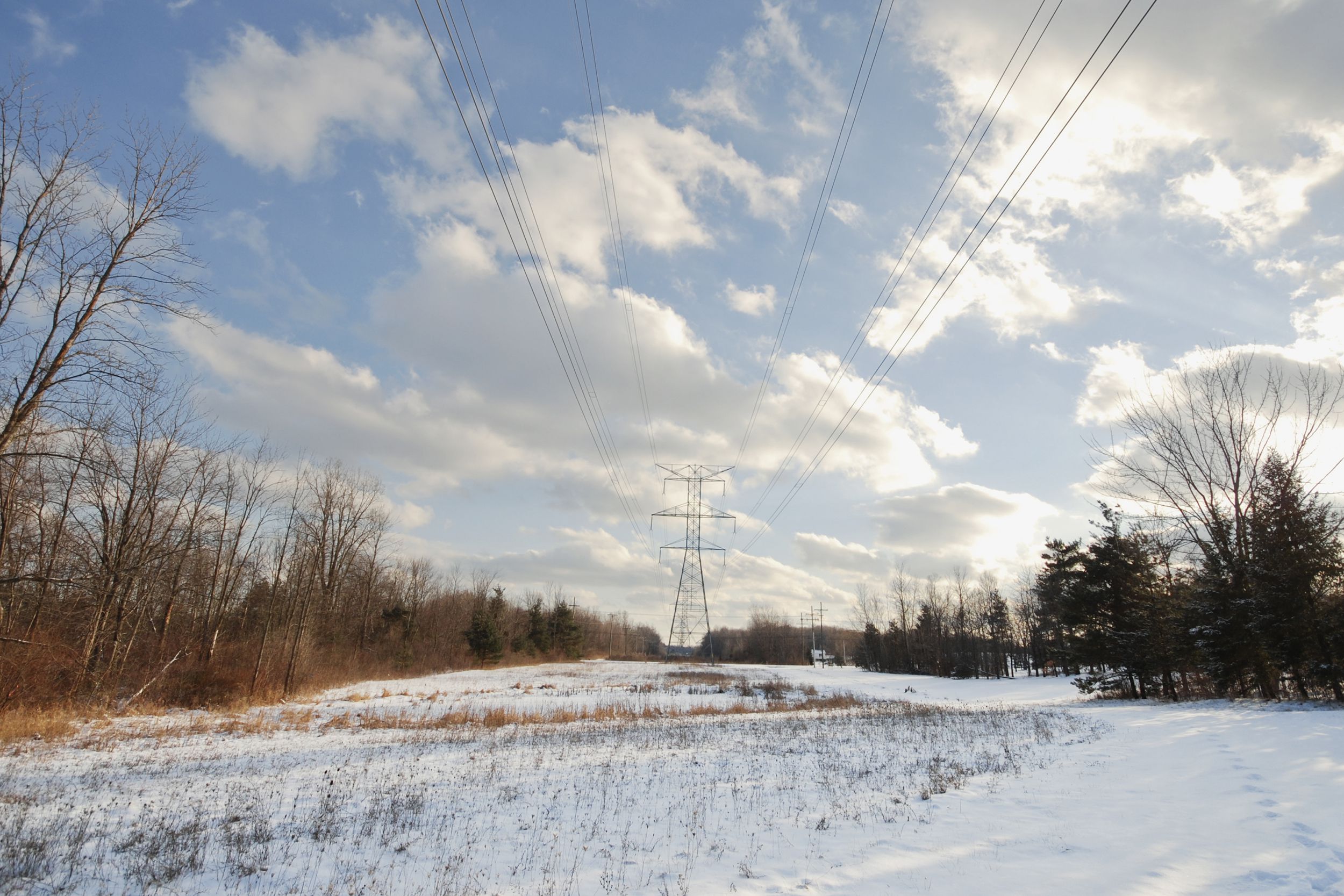 powerline in snow field, Michigan