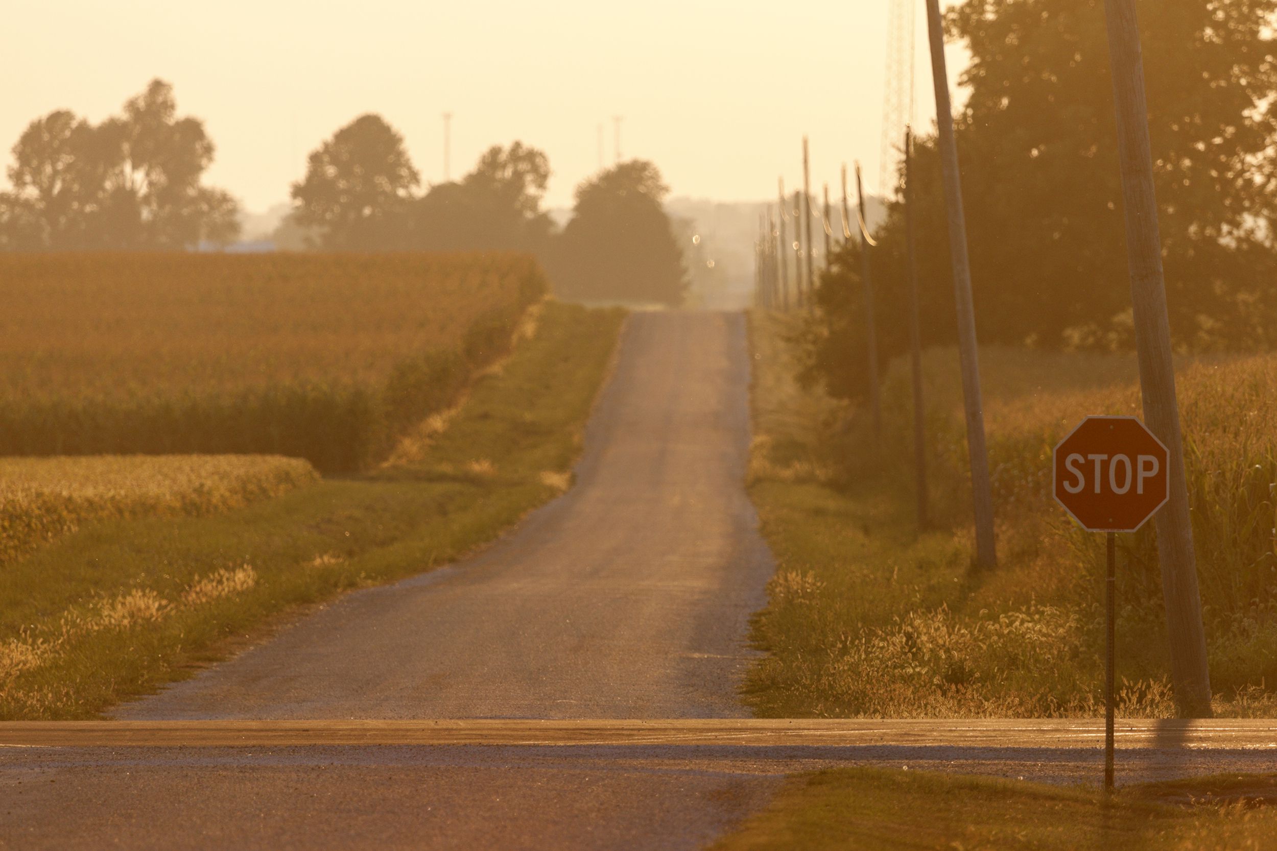 rural road in late afternoon, Illinois